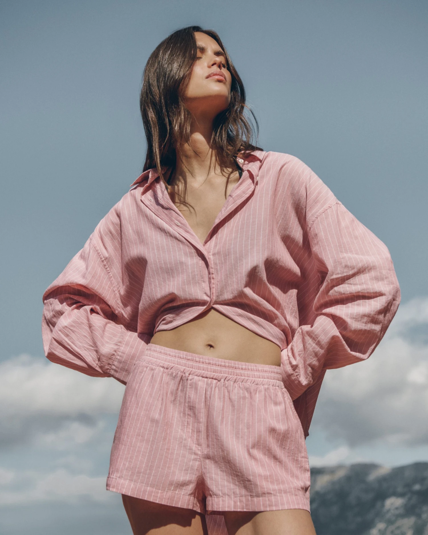 The Pink Striped Shorts 3 The Pink Striped Shorts